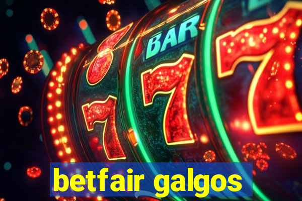 betfair galgos